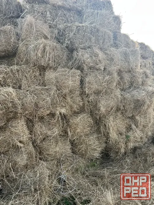 Продам сено Иловайск - изображение 3