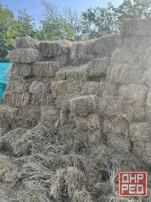 Продам сено Иловайск - изображение 2