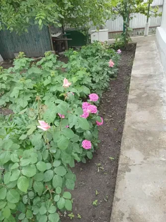 Продам дом Макеевка