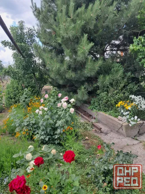 Продам дом.Левобережный р-н,у моря Мариуполь - изображение 8