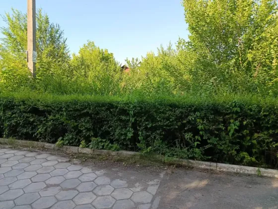 Продам дом с участком 12 соток по ул.Кирова Донецк