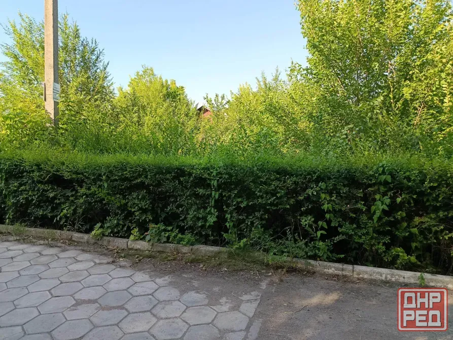 Продам дом с участком 12 соток по ул.Кирова Донецк - изображение 4