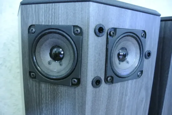 Акустическая система Bose 501V Макеевка
