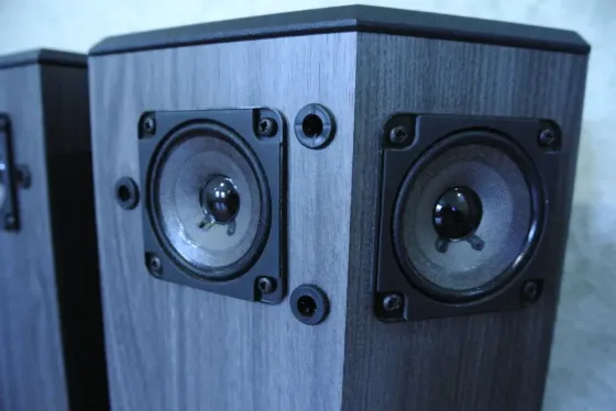 Акустическая система Bose 501V Макеевка