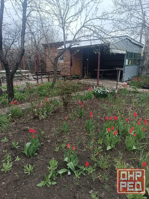 Продам дачу Донецк - изображение 2