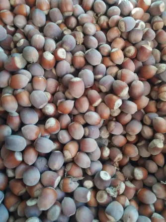 Продам фундук нечищеный Донецк