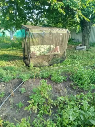 Дом в Макеевке Донецк