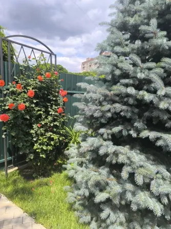 Срочно продам дом Донецк