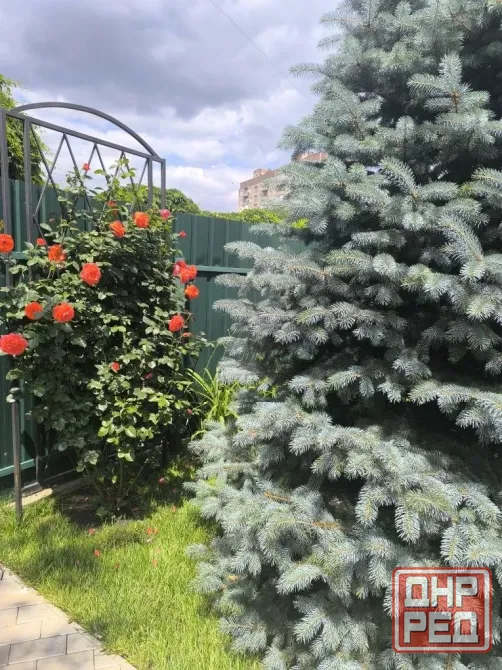 Срочно продам дом Донецк - изображение 2