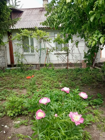 Бюджетный вариант: 3-комнатная квартира на земле в Пролетарский районе Донецк