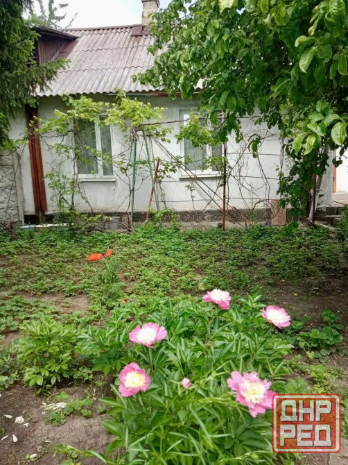 Бюджетный вариант: 3-комнатная квартира на земле в Пролетарский районе Донецк - изображение 1
