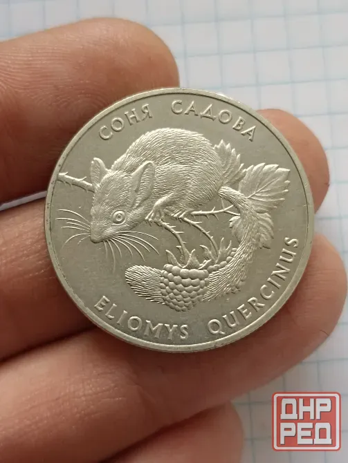 Монета 2 гривны 1999 г. Соня Садовая Донецк - изображение 1
