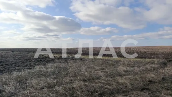 Участок, 12,5 сот., Бабах-Тарама с., арт. 136876886 Мариуполь