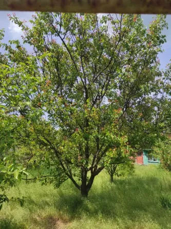 Продам дачу. Мариуполь