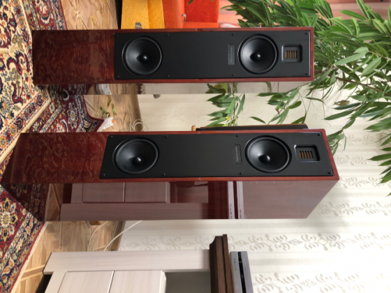 Martin Logan Донецк