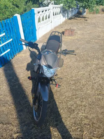 Мопед alpha rs13 champ Амвросиевка