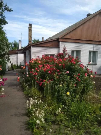 Продам 3-х комнатную квартиру на земле ул. Рубинштейна, Петровский район Донецк