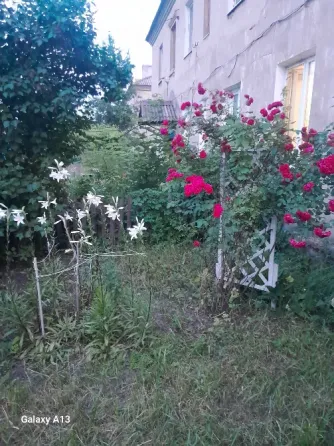 Продам Донецк