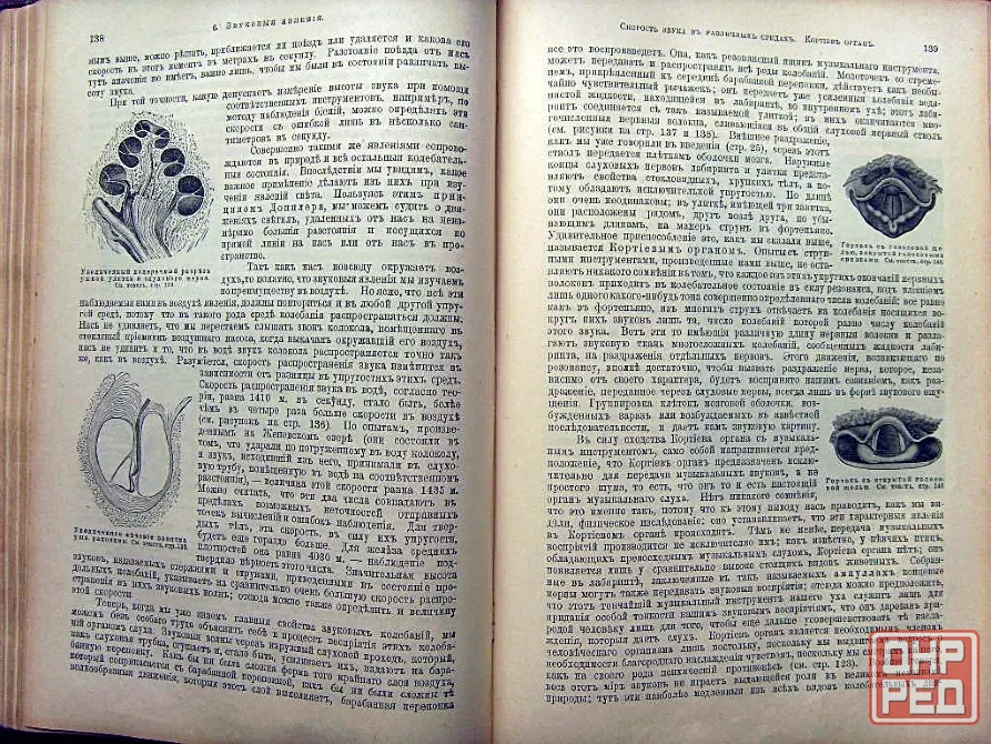 "Жизнь природы" Мейера 1909 года Донецк - изображение 4