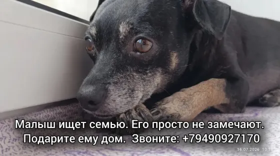 Малыш ищет семью Донецк