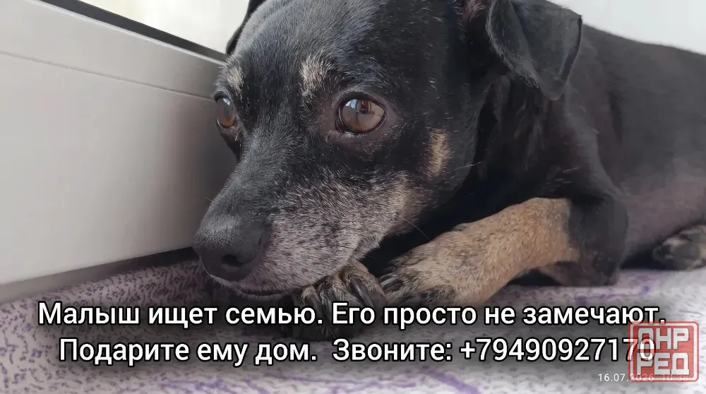 Малыш ищет семью Донецк - изображение 3