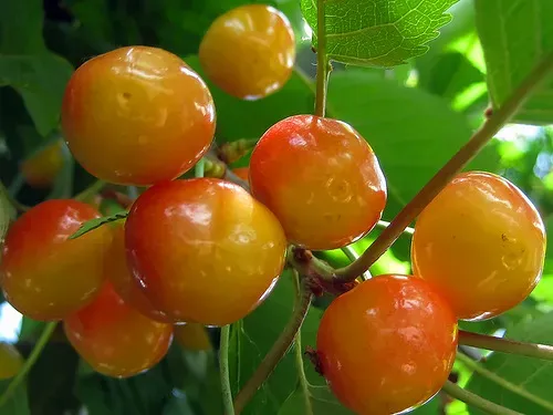 Продам современный дом, баня, ( соток, пл. Бакинских комиссаров. Донецк