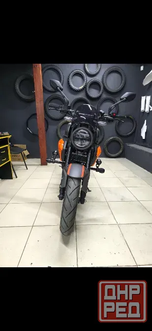 Мотоцикл REGULMOTO Nibbler 300 4V Донецк - изображение 1