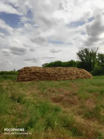 Сено луговое с люцерной Донецк