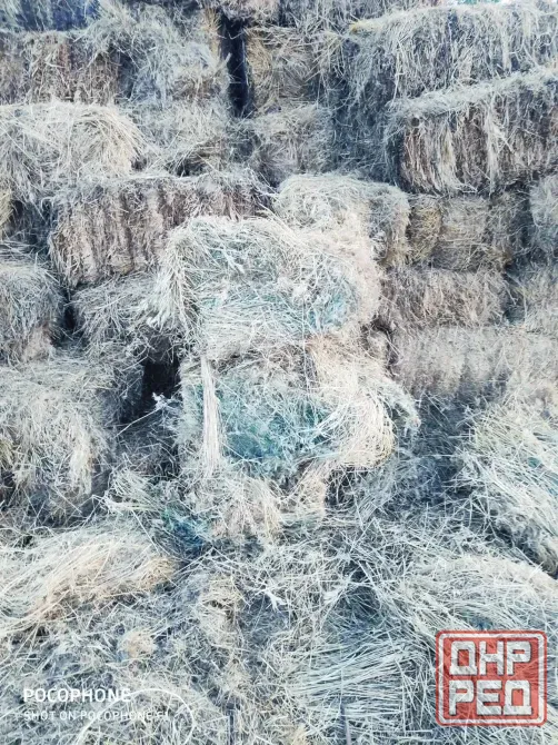 Сено луговое с люцерной Донецк - изображение 3