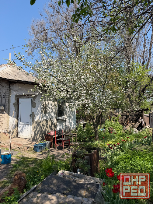 Продам дом Петровка Донецк - изображение 8