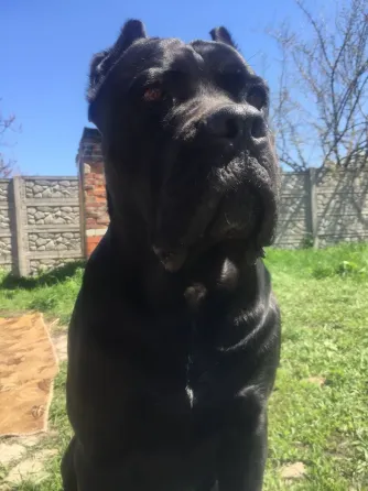 Вязка Донецк