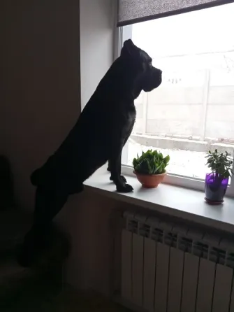 Вязка Донецк