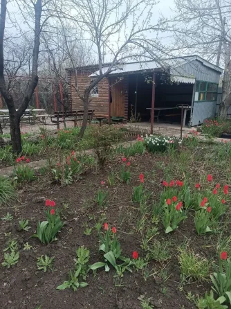 Предлагается к продаже дача в Кировском районе, снт "Абакумовец" Донецк