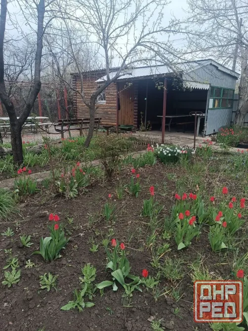 Предлагается к продаже дача в Кировском районе, снт "Абакумовец" Донецк - изображение 2