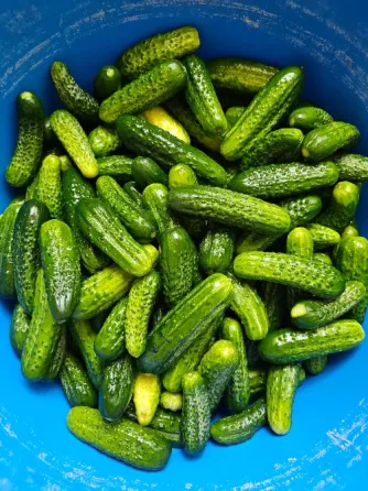 Продам домашние огурцы Донецк