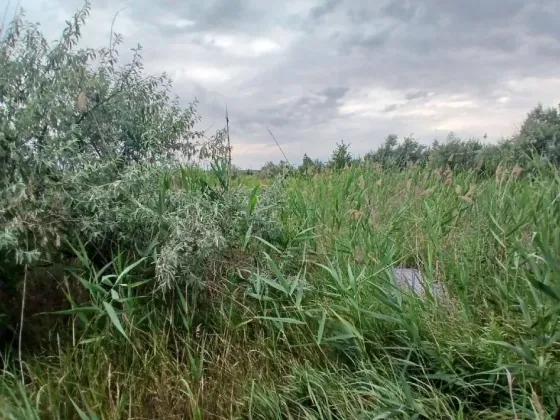 Продаётся приватизированный земельный участок. Мариуполь
