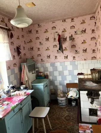 Дом 52.30м2 ул. Профессиональная рн. Динамо Центр города Луганск