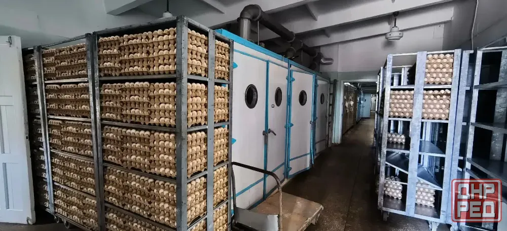 Продам инкубатор Зугрэс - изображение 1