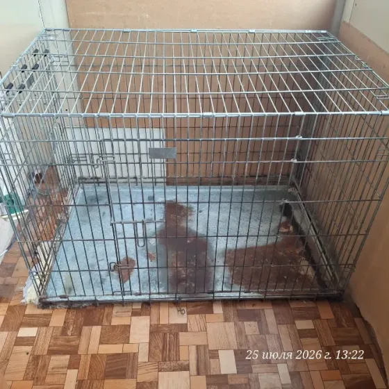 Большой вольер для собак б.у Донецк