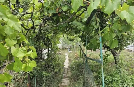 Домик 41 м.кв,Кировский район,Макеевка Макеевка