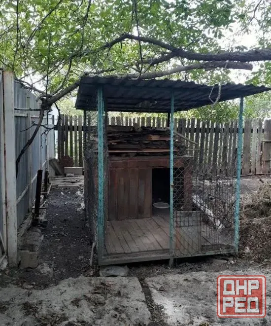 Домик 41 м.кв,Кировский район,Макеевка Макеевка - изображение 11