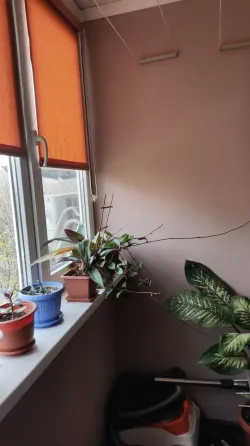 Продам квартиру Донецк