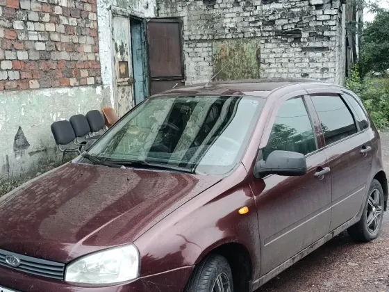 Калина Снежное