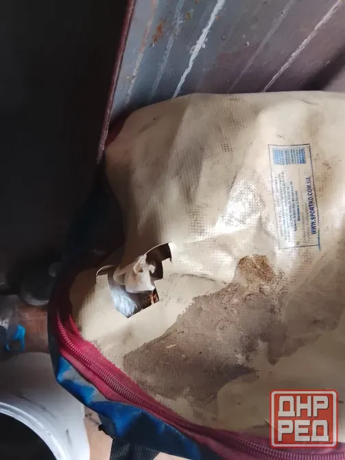 Груша боксёрская Донецк - изображение 2