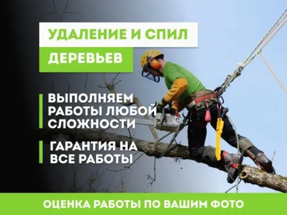 Спил и кронирование деревьев в Донецке, Макеевке и ближайших городах Донецк