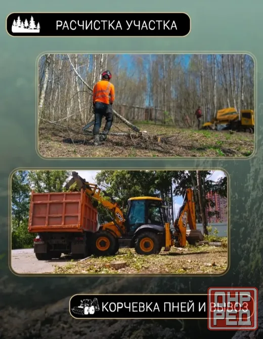Спил и кронирование деревьев в Донецке, Макеевке и ближайших городах Донецк - изображение 8