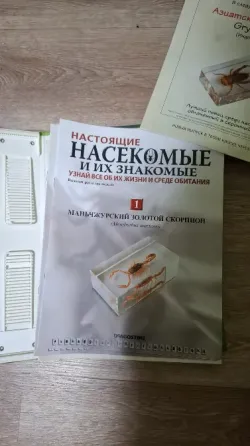 Коллекция насекомых в смоле новые Донецк