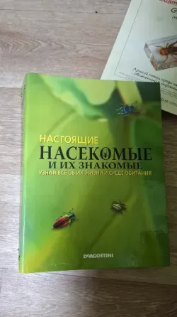 Коллекция насекомых в смоле новые Донецк