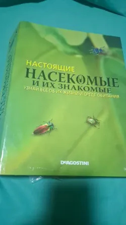 Коллекция насекомых в смоле новые Донецк