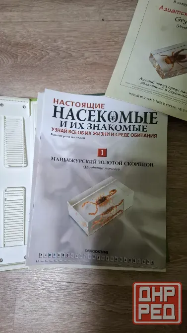 Коллекция насекомых в смоле новые Донецк - изображение 3